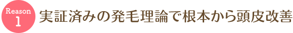 実証済みの発毛理論で根本から頭皮改善
