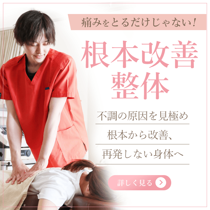 根本改善整体